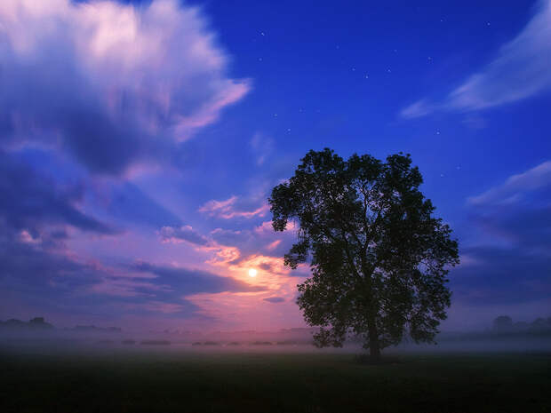 Фотография Moonset over Misty Meadows автор Jan Bainar на 500px