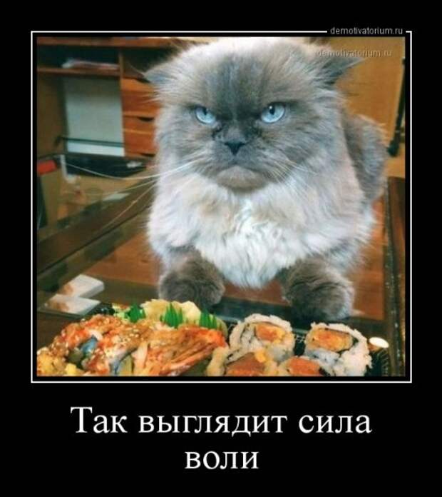 Свежие демотиваторы (19 шт)