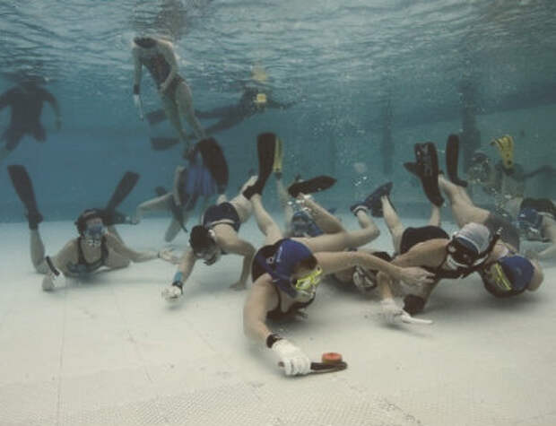 Неолимпийские игры: Квиддич, подводное регби, метание тунца и еще 15 необычных соревнований. Изображение № 23.