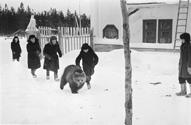 Подборка прикольных картинок