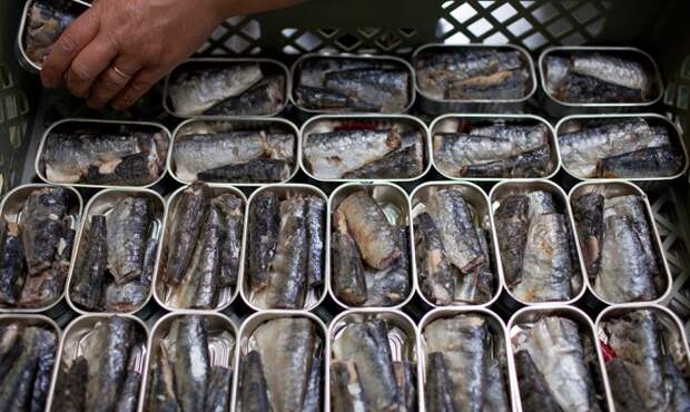 Роспотребнадзор может расширить список украинских продуктов, запрещенных для продажи в РФ Роспотребнадзор может расширить список украинских продуктов, запрещенных для продажи в РФ