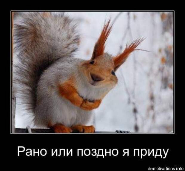 Демотиваторы! Ура! Отрывайся!