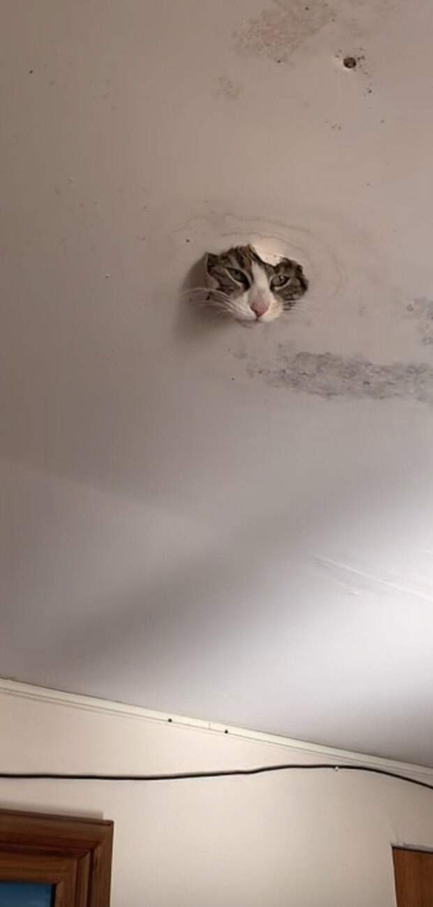 Разные необычные вещи и явления, которые нечасто увидишь