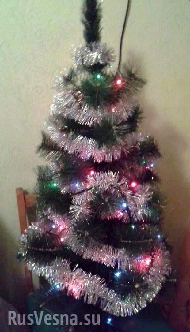 Военная сводка Информбюро Новороссии