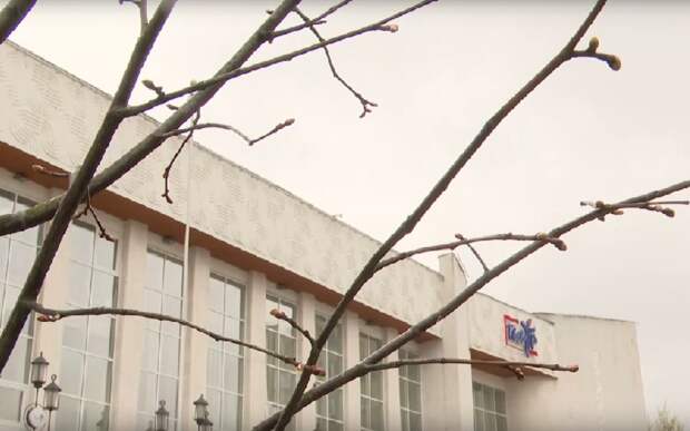 В Рязани появилась Театральная аллея