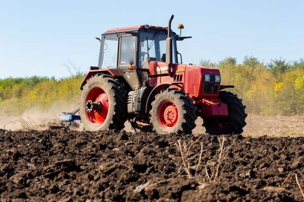 Сельское хозяйство Рязанской области достигло рекордных показателей в 2025 году