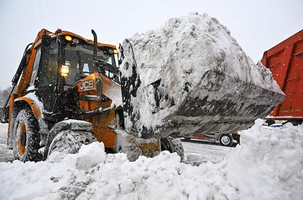 Снегопады привели к 20-кратному росту спроса на одну услугу в России