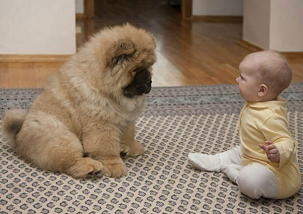 Фотографии, на которые невозможно смотреть равнодушно