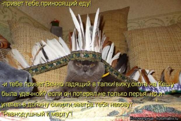 Лучшие котоматрицы недели (50 фото) Лучшие котоматрицы недели