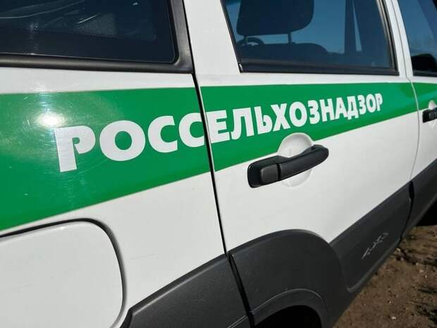 Россельхознадзор в Забайкалье выявил сотни нарушений в продукции