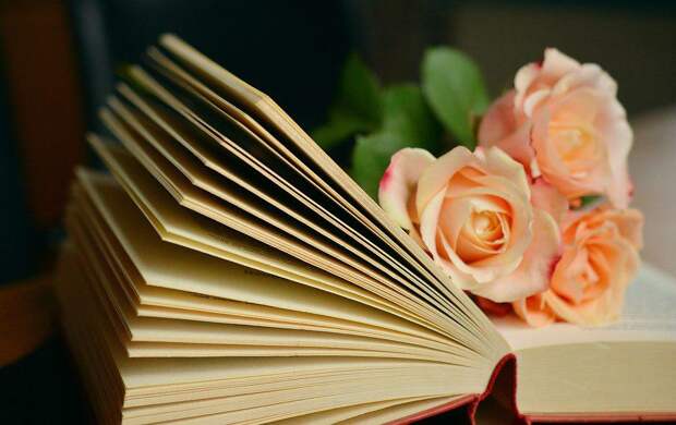 Фото: pixabay.com