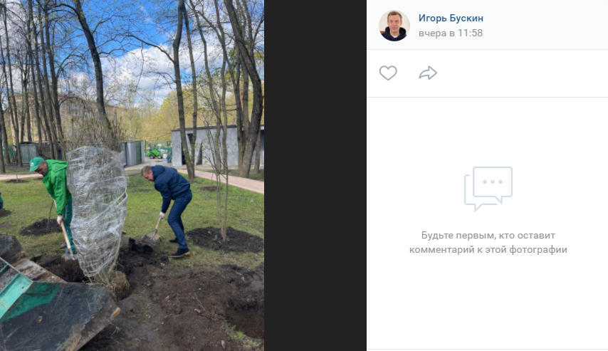 В Бабушкинском парке высадили десять кустов сирени