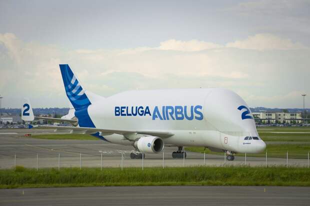 Airbus A300-600ST Super Transporter, также известный как Airbus Beluga — уникальный по своей конструкции транспортный самолет для перевозки крупногабаритных грузов. В частности, элементов конструкции A-380. Всего во флоте компании Airbus 5 таких машин.