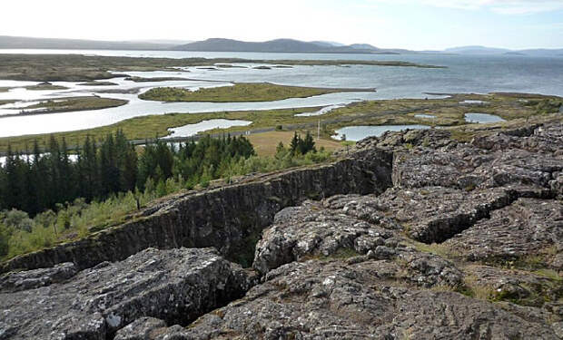 Фото falco / Pixabay