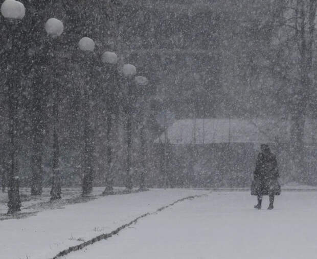 Москву и область накроет густой туман: МЧС просит водителей быть осторожнее