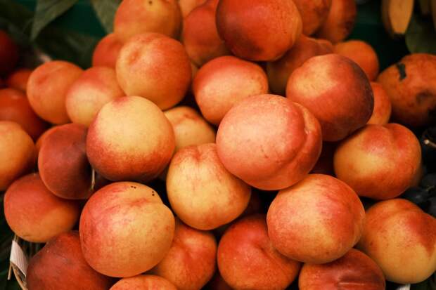 Как правильно сажать персики