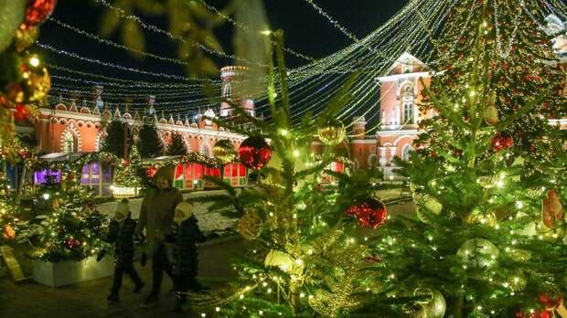 Синоптик Ильин рассказал об усилении морозов до -10...-17 °С в Москве к Рождеству