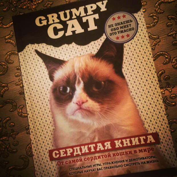 Оптимистическая книга. Оптимистическая книга.