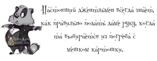 ПРИКОЛЬНЫЕ ФРАЗОЧКИ В КАРТИНКАХ