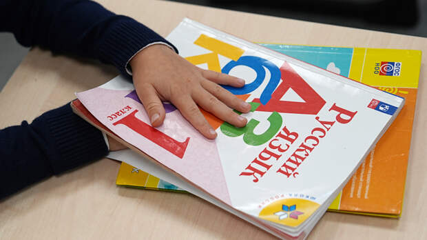 Не признавал авторитеты: первоклассник-тиран держал в страхе школу