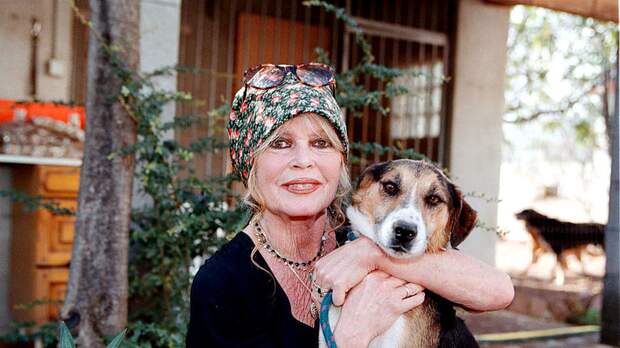 Franceinfo: Брижит Бардо по её воле будет похоронена в саду своей виллы у моря