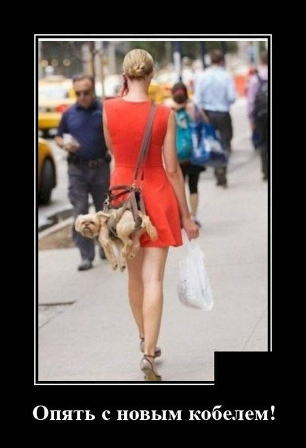 demotivatory-demotivator-smeshnye-demotivatory-demotivator-so-smyslom