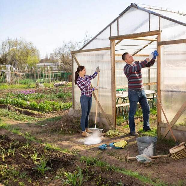 Готовим теплицу к сезону: как правильно провести весеннюю уборку