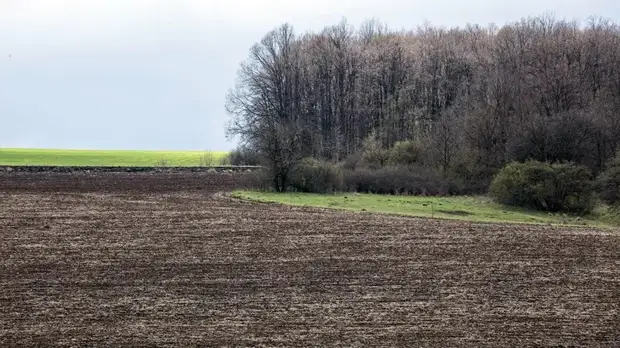 Опрос: более 70% украинцев против снятия моратория на продажу земли