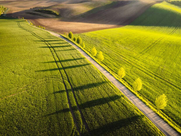 1000006187.jpg 1000006187.jpg