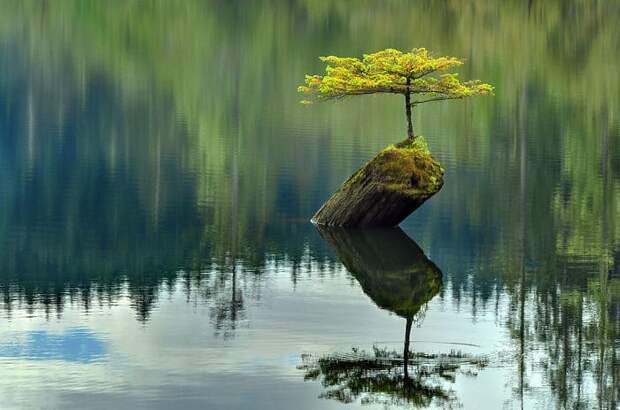 A Place Of Enchantment A Place Of Enchantment