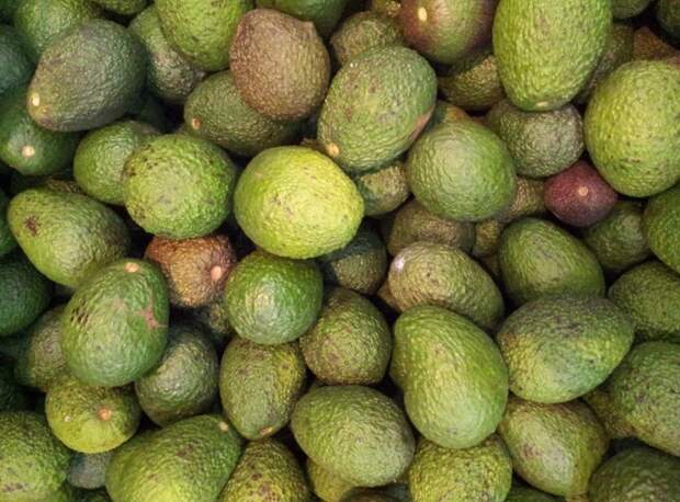 Фейхоа — суперфрукт в сезон простуд: поддержит щитовидку, мозг и иммунитет. Как есть, чтобы не навредить