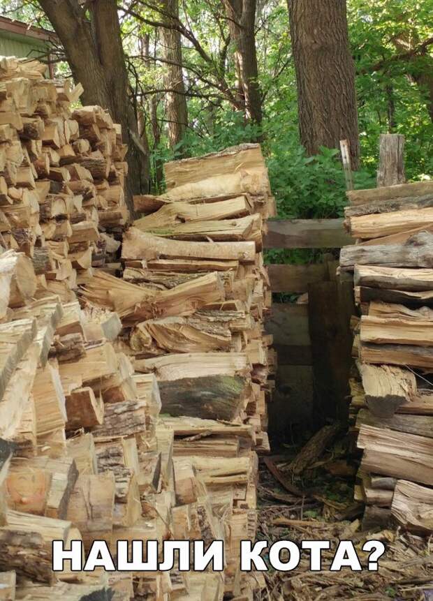 Прикольные картинки с надписями до слез (12 фото) Прикольные картинки с надписями до слез (12 фото)