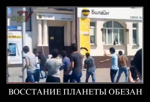 Немного новых демотиваторов