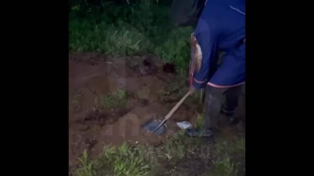 Video: Видео от Донецкая группа новостей|Донецк.ДНР