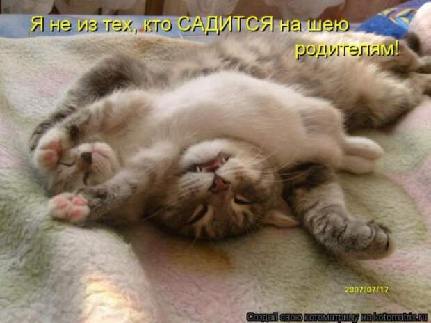 Котоматрицы(картинки с надписями)