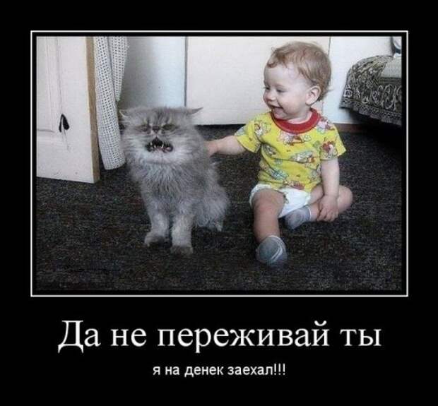 Свежая порция демотиваторов (12 шт)