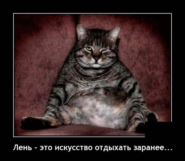 Демотиваторы 9 ноября 2021 года