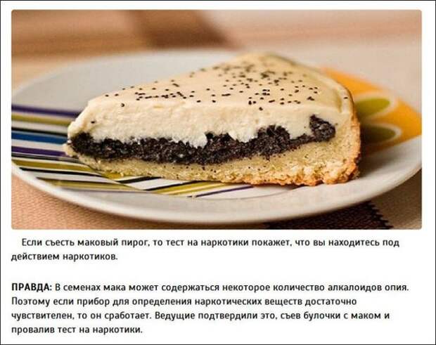 Лучшие вердикты «Разрушителей легенд» ( Часть 2)