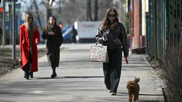 Синоптики: после рекордных сугробов на Москву несется новая аномалия