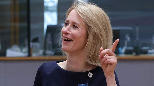 Боуз осудил предложение Каллас об альтернативе "Дружбе" для Венгрии