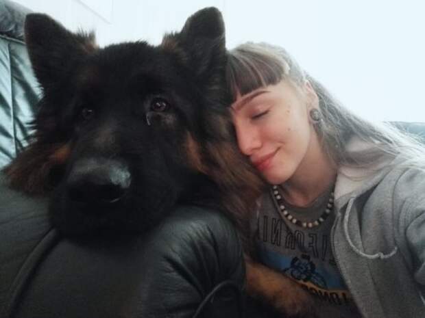 20 хороших мальчиков, которые занимают места в доме в два-три раза больше, чем их хозяева