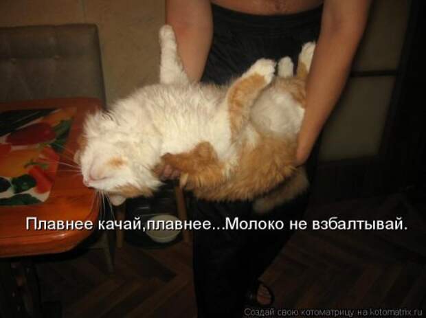 Новая котоматрица (37 шт)