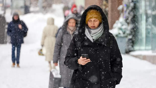 Доцент Щербаченко: мошенники начали обманывать россиян фейковыми онлайн-банками