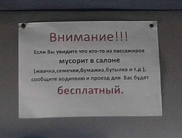 5721455-R3L8T8D-650-1400066696_1452861804
