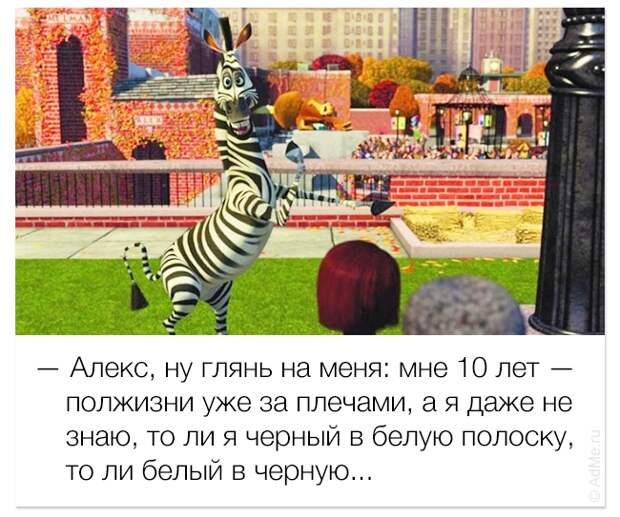 смешные цитаты из мультфильмов, фразы мультфильмы