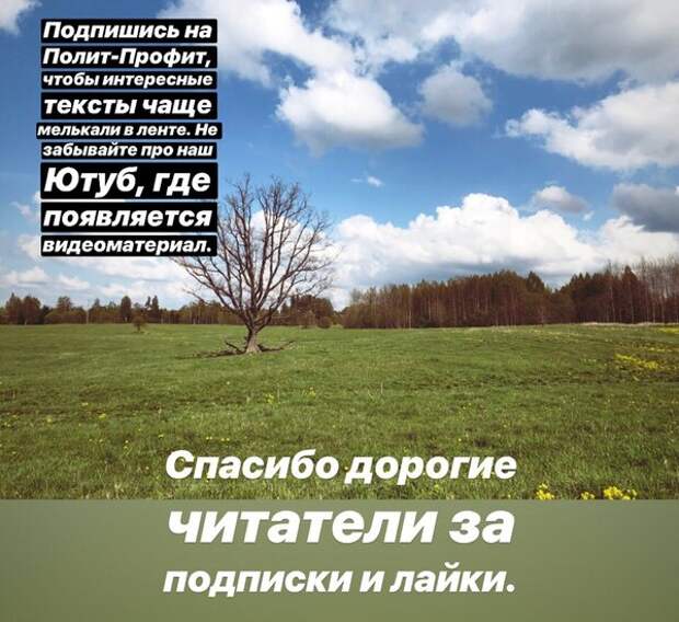 Ну а мы с вами не политики. Как вам Зеленский и его слова с его решениями?