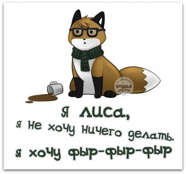 ПРИКОЛЬНЫЕ ФРАЗОЧКИ В КАРТИНКАХ