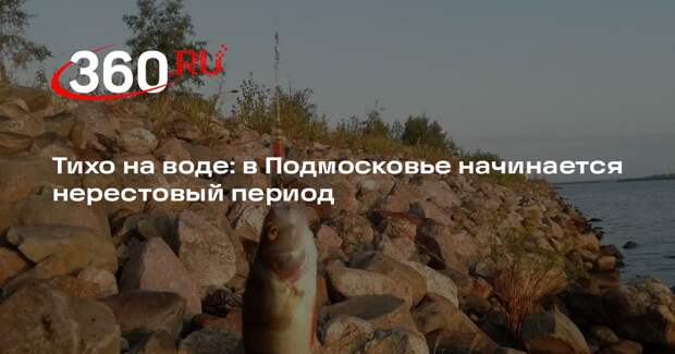 В Московской области введут ограничения на рыбалку из-за нереста рыб