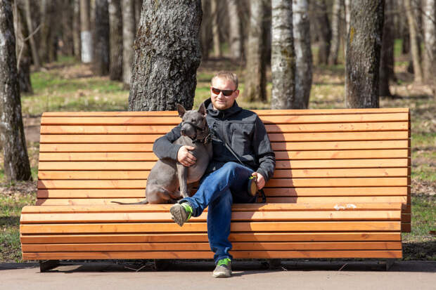 Туристам с питомцами презентовали путеводитель по Тульской области