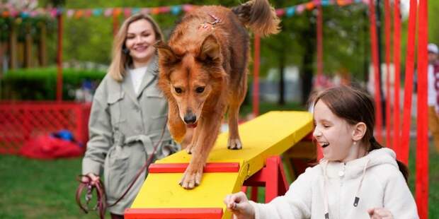 Гости праздника «Моспитомца» смогут познакомиться с животными из приютов